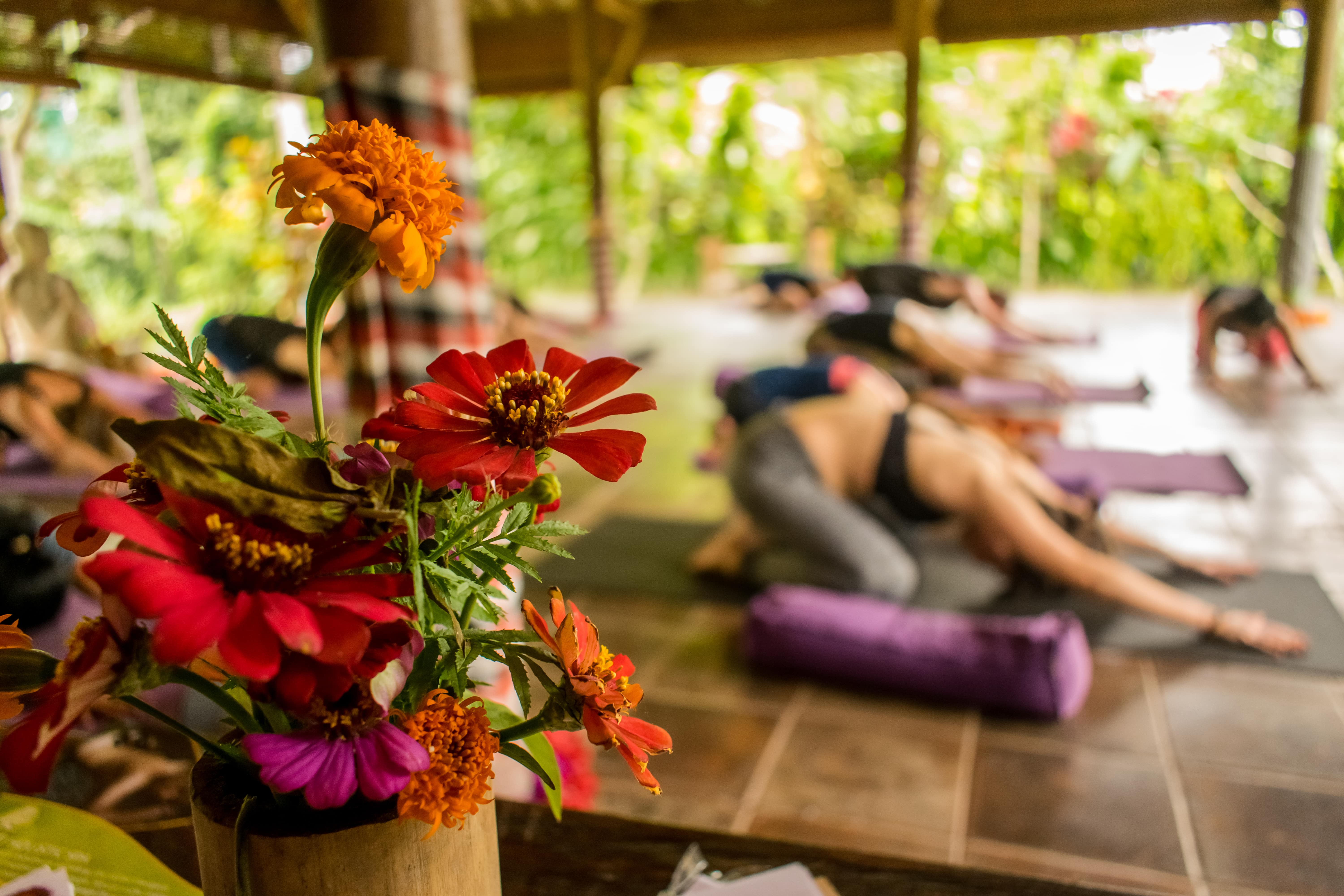 Yoga Teacher Training Bali 2024 Yoga School in Bali
