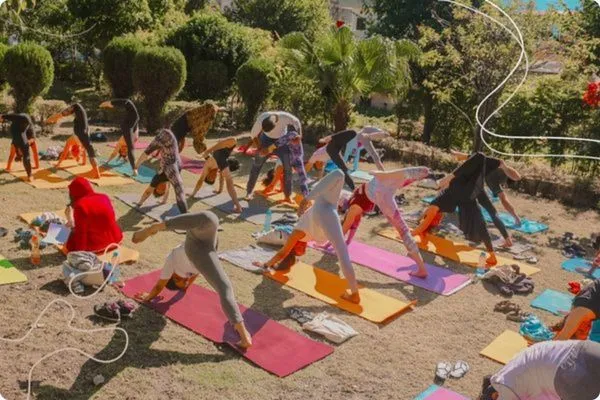 students practicing yoga during 300 hour yoga teacher training in rishikesh