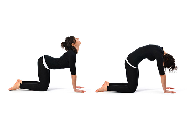 woman performing cat pose