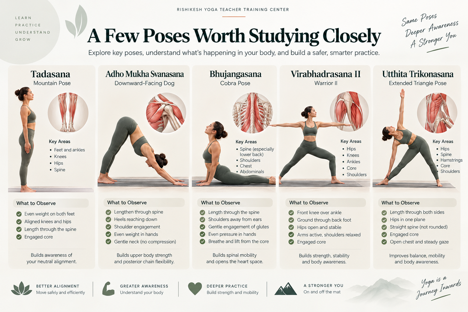 Beginner yoga poses to study anatomy