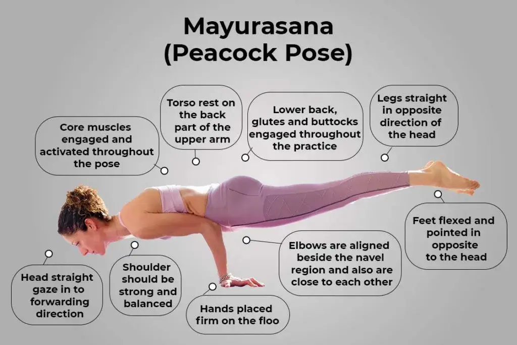 steps to perform the peacock pose