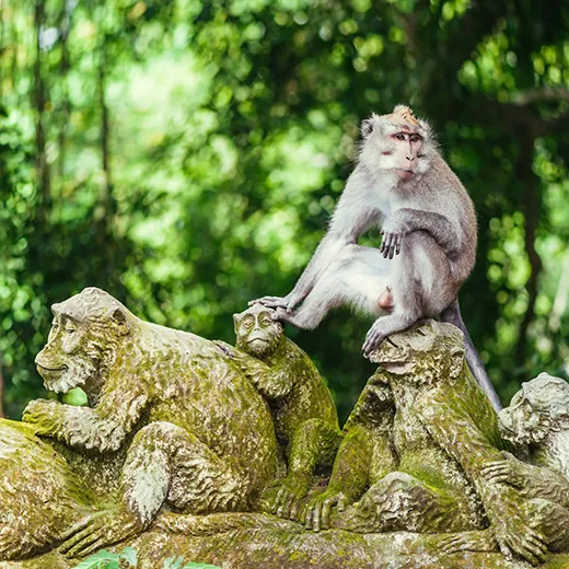 monkey sitting on a statue