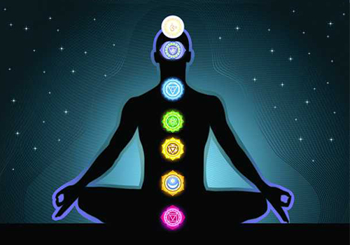 the human body 7 chakras