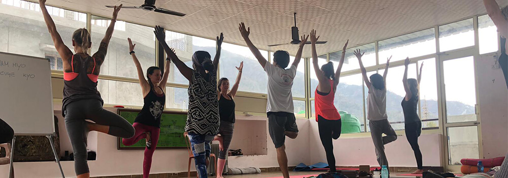 Vinyasa yoga practice at Rishikesh Yoga Teacher Training Center
