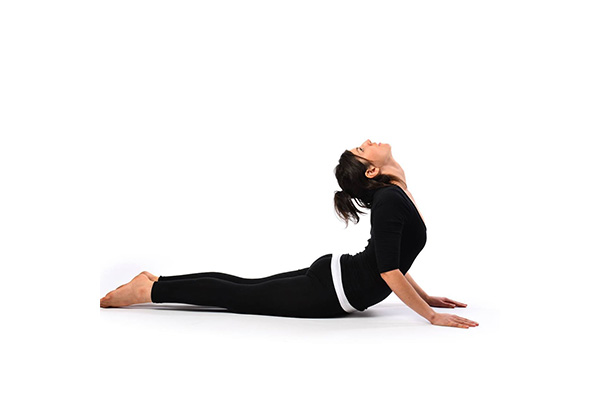 भुजंगासन: नाग पोज़ के साथ उठें और विस्तार करें | Yoga World - Yoga - Cobra  Pose कैसे करें - YouTube